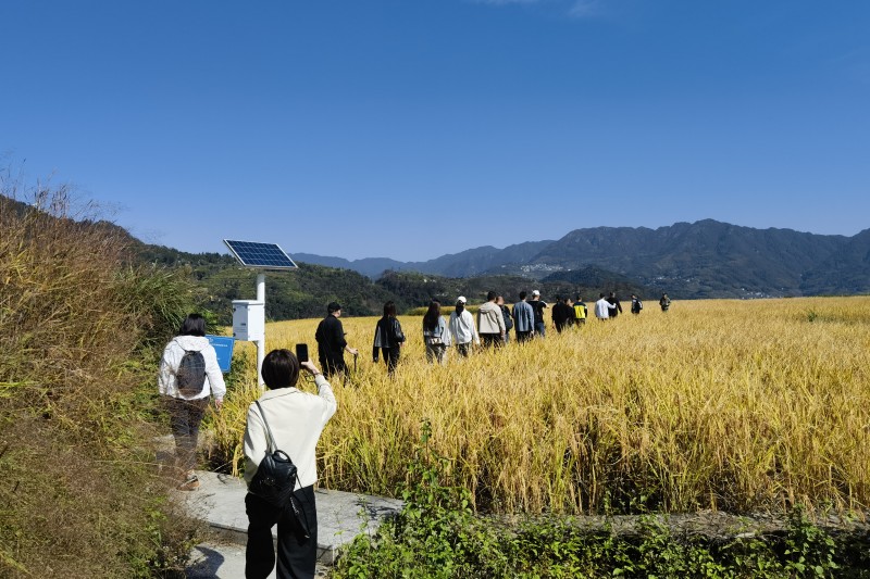 尊龙时凯·Z6(中国区)人生就是拼搏!